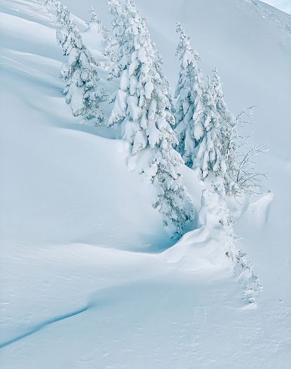 Snow-covered winter landscape