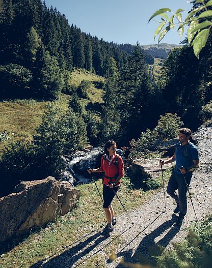 Following nature