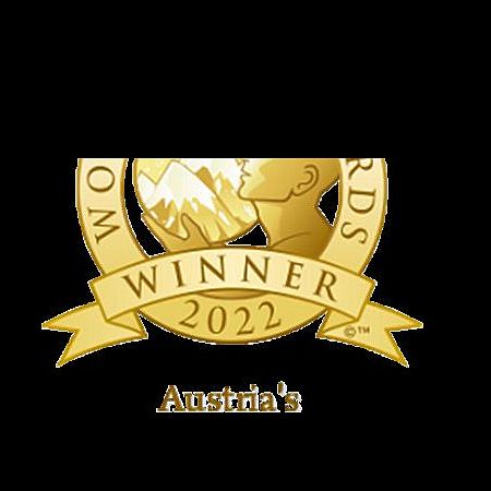 World Ski Awards Logo Winner 2016