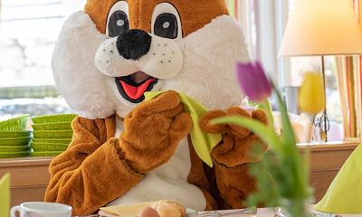 osterhase-im-wintergarten-2