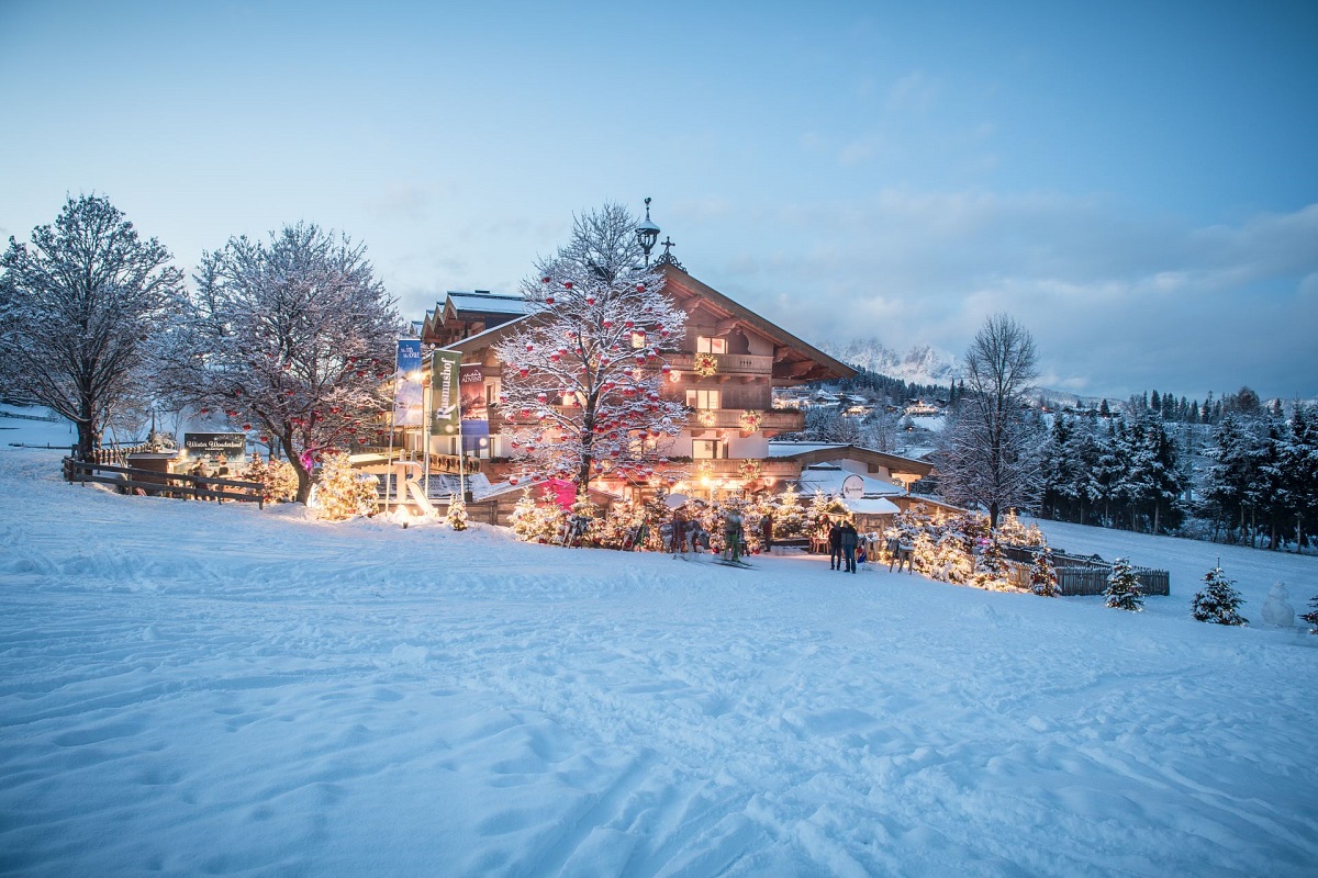 Christbaumwiese am Rasmushof