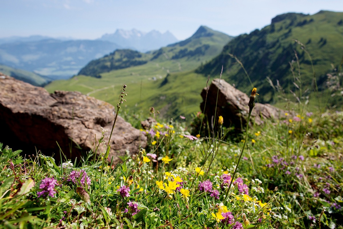 Wanderbilder Werlberger